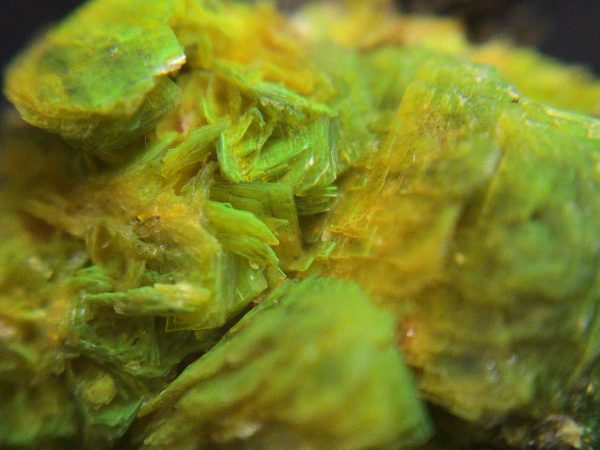 Autunite Crystals on Matrix- Fluorescent Uranium Ore, 5.6 Grams - Image 10