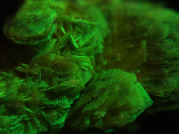 Autunite Crystals on Matrix- Fluorescent Uranium Ore, 5.6 Grams - Image 9