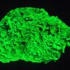 Autunite / Meta- Autunite Crystal - Fluorescent Uranium Ore, 40 Grams