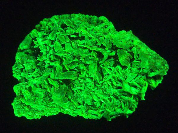 Autunite / Meta- Autunite Crystal - Fluorescent Uranium Ore, 40 Grams