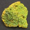 Autunite / Meta- Autunite Crystal - Fluorescent Uranium Ore, 40 Grams