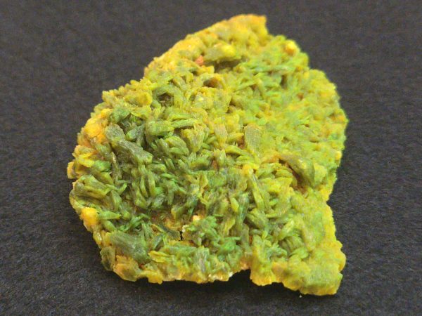 Autunite / Meta- Autunite Crystal - Fluorescent Uranium Ore, 40 Grams