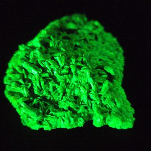 Autunite / Meta- Autunite Crystal - Fluorescent Uranium Ore, 40 Grams