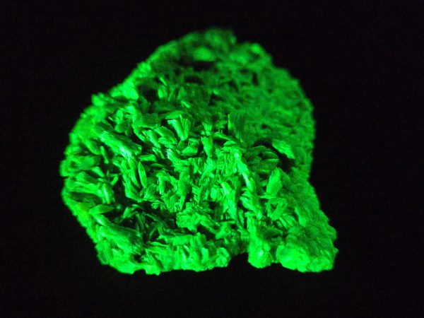 Autunite / Meta- Autunite Crystal - Fluorescent Uranium Ore, 40 Grams