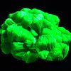 Lamellar Autunite Crystal - Fluorescent Uranium Ore, 7 Grams