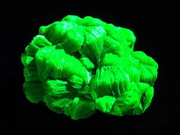 Lamellar Autunite Crystal - Fluorescent Uranium Ore, 7 Grams