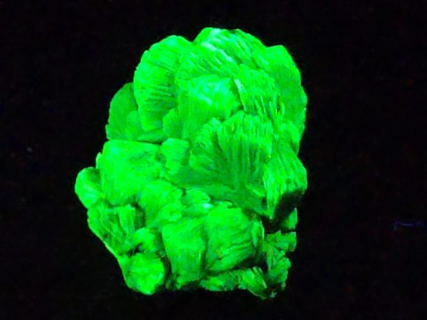 Lamellar Autunite Crystal  - Fluorescent Uranium Ore, 7 Grams - Image 4