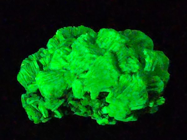 Lamellar Autunite Crystal  - Fluorescent Uranium Ore, 7 Grams - Image 7