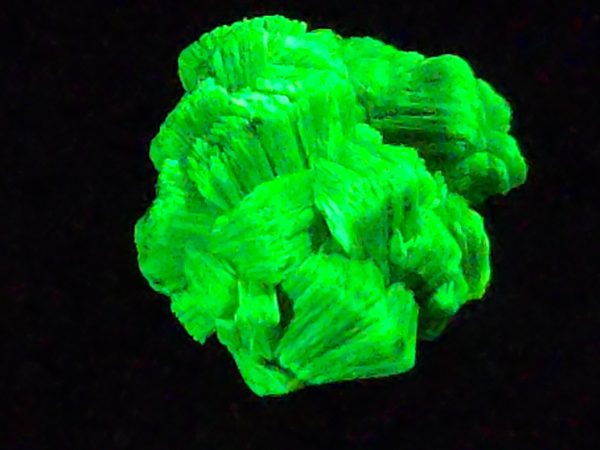 Lamellar Autunite Crystal  - Fluorescent Uranium Ore, 7 Grams - Image 10