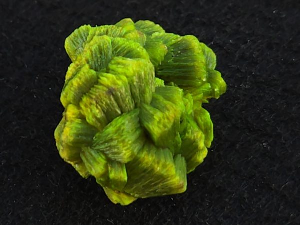 Lamellar Autunite Crystal  - Fluorescent Uranium Ore, 7 Grams - Image 11