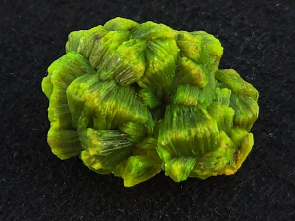 Lamellar Autunite Crystal  - Fluorescent Uranium Ore, 7 Grams - Image 2