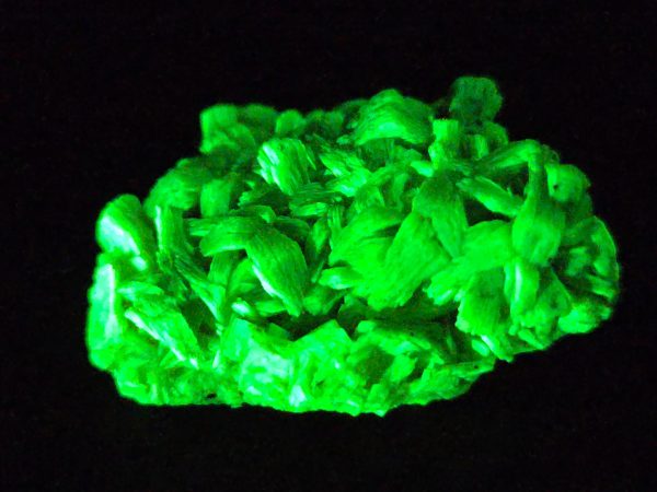 Lamellar Autunite Crystal – Fluorescent Uranium Ore, 6.7 Grams - Image 4