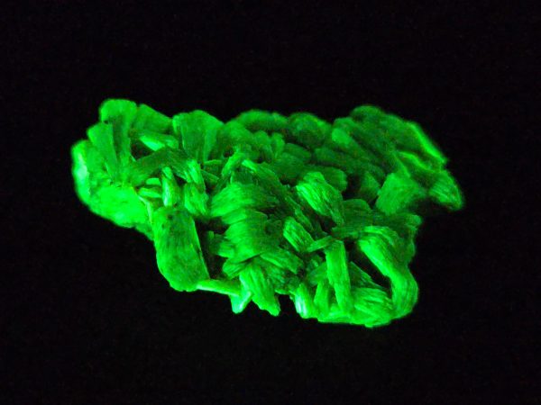 Lamellar Autunite Crystal – Fluorescent Uranium Ore, 6.7 Grams