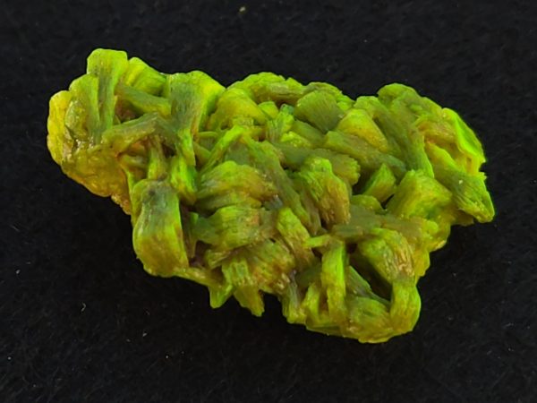 Lamellar Autunite Crystal – Fluorescent Uranium Ore, 6.7 Grams - Image 2