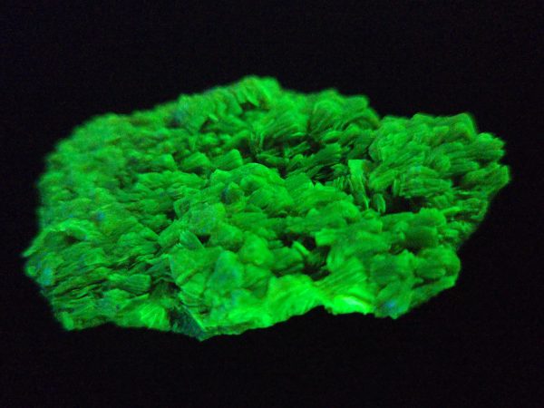 Lamellar Autunite / Meta- Autunite Crystal  - Fluorescent Uranium Ore, 25 Grams - Image 5