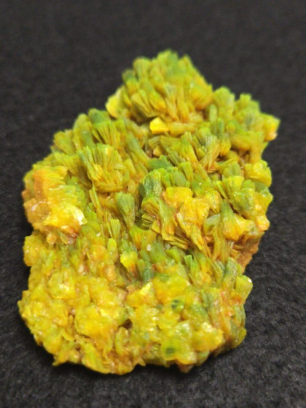 Lamellar Autunite / Meta- Autunite Crystal  - Fluorescent Uranium Ore, 25 Grams - Image 10