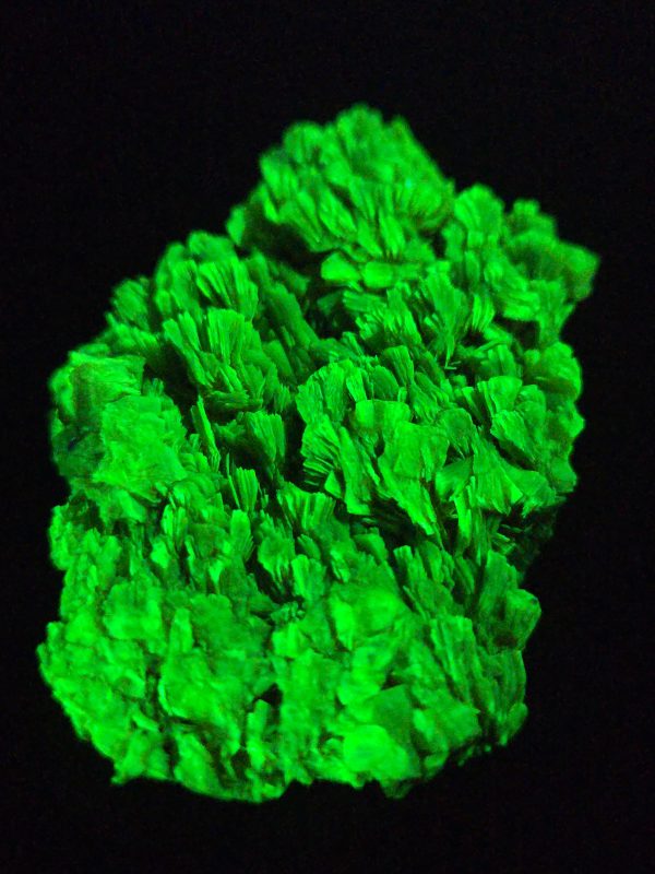 Lamellar Autunite / Meta- Autunite Crystal  - Fluorescent Uranium Ore, 25 Grams - Image 8