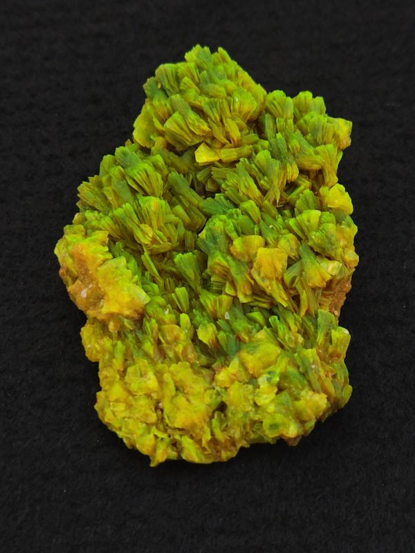 Lamellar Autunite / Meta- Autunite Crystal  - Fluorescent Uranium Ore, 25 Grams - Image 9