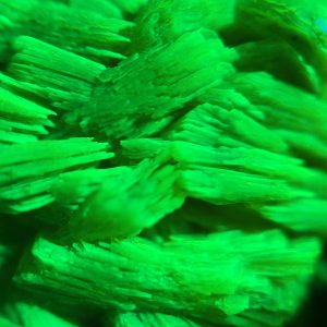 Lamellar Autunite / Meta- Autunite Crystal - Fluorescent Uranium Ore, 25 Grams