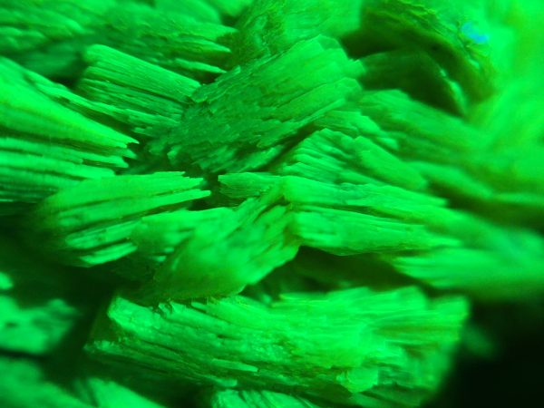 Lamellar Autunite / Meta- Autunite Crystal - Fluorescent Uranium Ore, 25 Grams