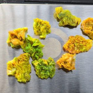 11.7 Grams of Stabilized Autunite Pieces ~ Bulk Uranium Ore