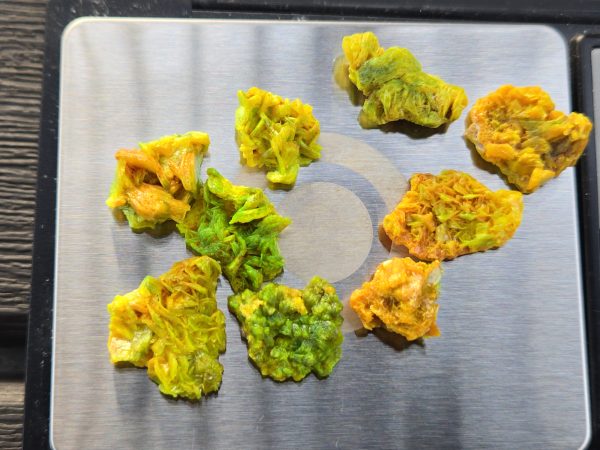 11.7 Grams of Stabilized Autunite Pieces ~ Bulk Uranium Ore