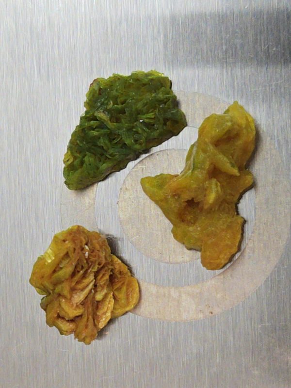 3 Piece Autunite Lot ~ Fluorescent Uranium Ore