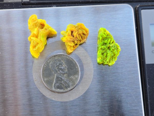 3 Piece Autunite Lot  ~ Fluorescent Uranium Ore - Image 4