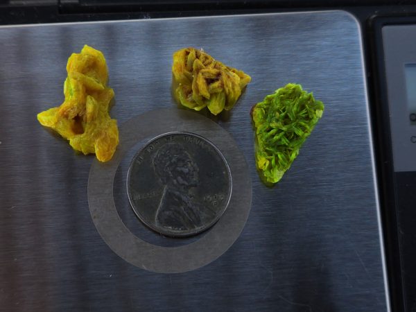 3 Piece Autunite Lot  ~ Fluorescent Uranium Ore - Image 5