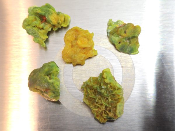 5 Piece Autunite Lot  ~ Fluorescent Uranium Ore - Image 4