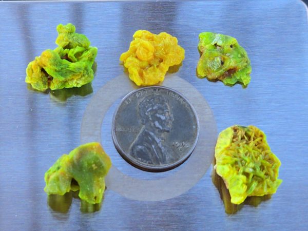 5 Piece Autunite Lot  ~ Fluorescent Uranium Ore - Image 5