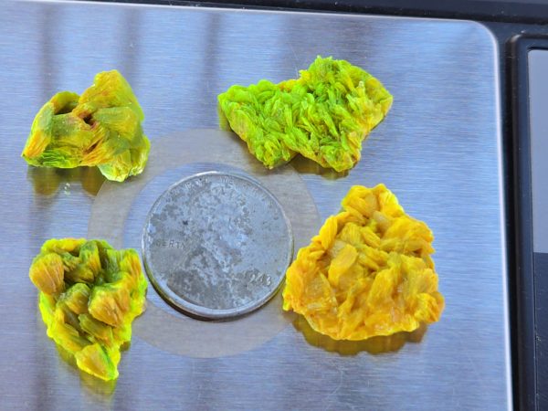 4 Piece Autunite Lot  ~ Fluorescent Uranium Ore - Image 6