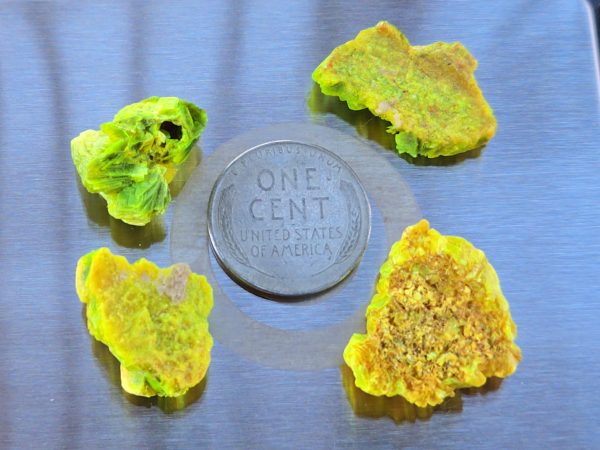 4 Piece Autunite Lot  ~ Fluorescent Uranium Ore - Image 7