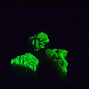 3 Piece Autunite Lot ~ Fluorescent Uranium Ore