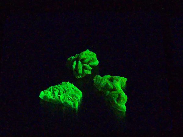 3 Piece Autunite Lot ~ Fluorescent Uranium Ore