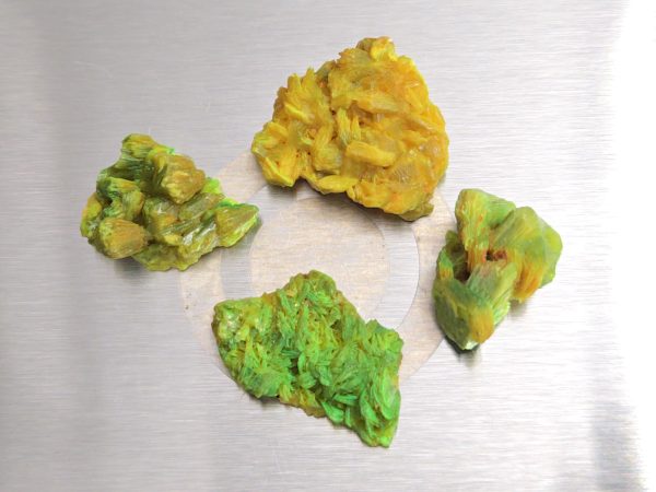 4 Piece Autunite Lot ~ Fluorescent Uranium Ore