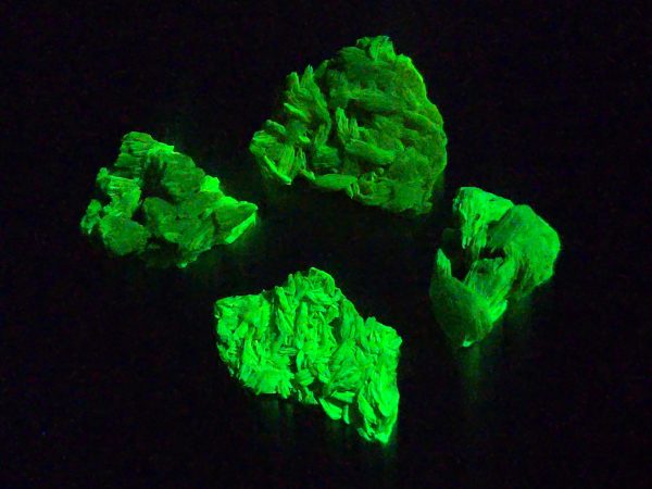 4 Piece Autunite Lot ~ Fluorescent Uranium Ore