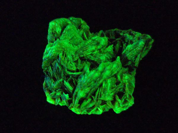 Autunite / Meta-autunite Crystal  - Fluorescent Uranium Ore, 3.4 Grams - Image 2