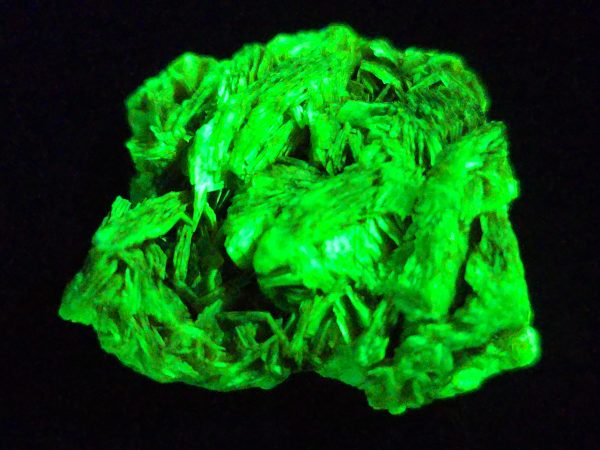 Autunite / Meta-autunite Crystal  - Fluorescent Uranium Ore, 3.4 Grams - Image 5