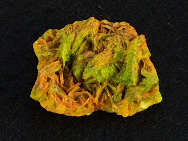 Autunite / Meta-autunite Crystal  - Fluorescent Uranium Ore, 3.4 Grams - Image 4