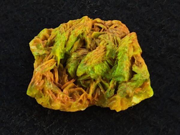 Autunite / Meta-autunite Crystal  - Fluorescent Uranium Ore, 3.4 Grams - Image 7