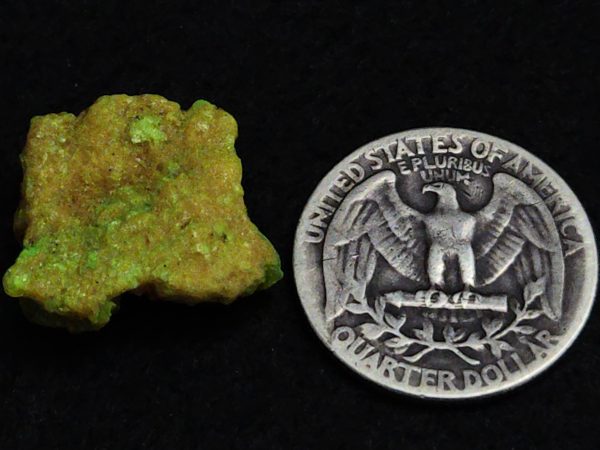 Autunite / Meta-autunite Crystal  - Fluorescent Uranium Ore, 3.4 Grams - Image 13