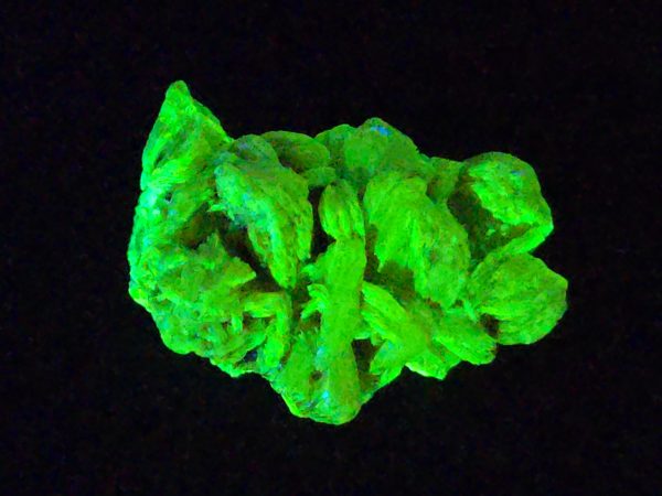 Autunite / Meta- Autunite Crystal - Fluorescent Uranium Ore, 11 Grams