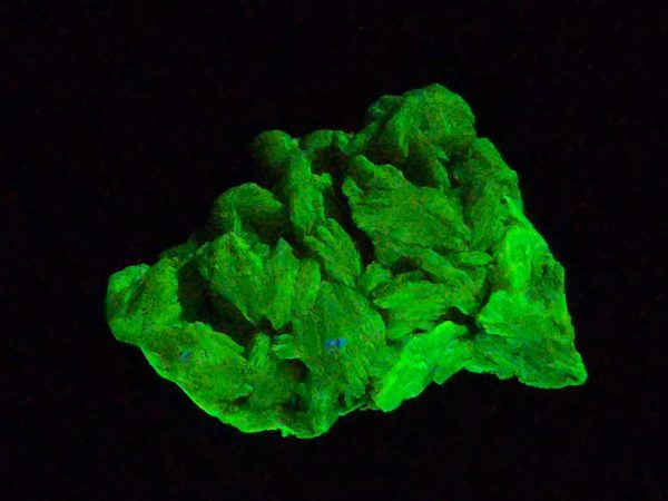 Autunite / Meta- Autunite Crystal  - Fluorescent Uranium Ore, 11 Grams - Image 4