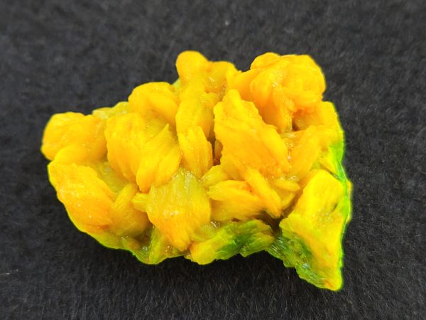 Autunite / Meta- Autunite Crystal  - Fluorescent Uranium Ore, 11 Grams - Image 3