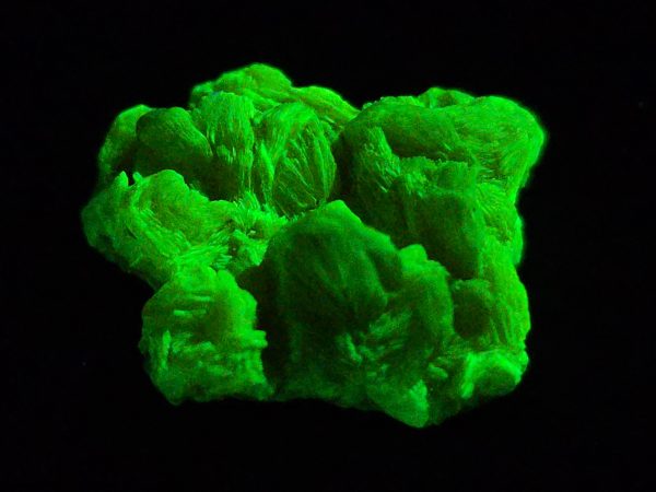 Autunite / Meta-autunite Crystal  - Fluorescent Uranium Ore, 3.6 Grams - Image 5