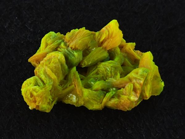 Autunite / Meta-autunite Crystal - Fluorescent Uranium Ore, 2.5 Grams