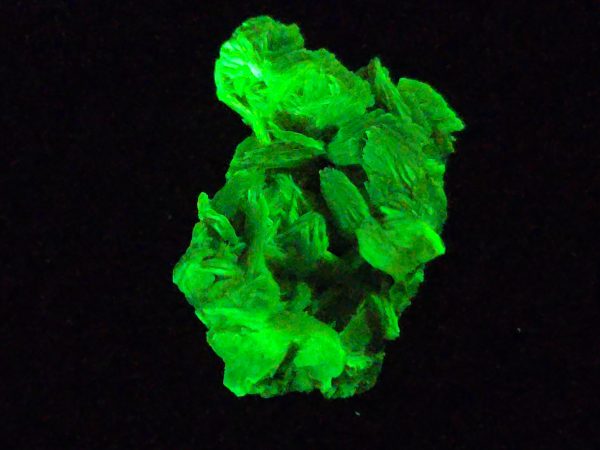 Autunite / Meta-autunite Crystal  - Fluorescent Uranium Ore, 2.5 Grams - Image 5