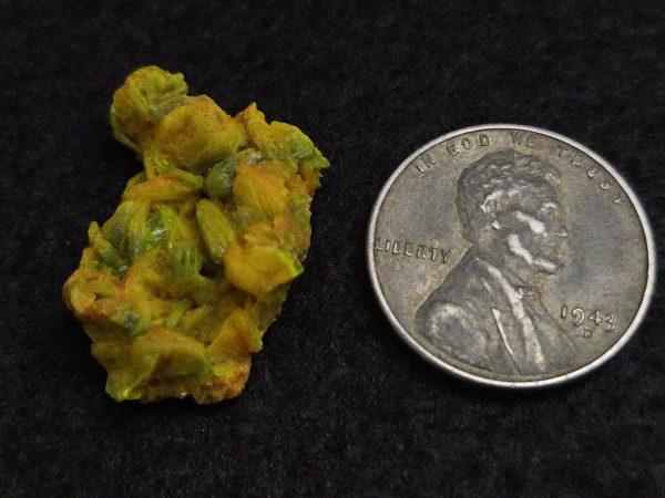 Autunite / Meta-autunite Crystal  - Fluorescent Uranium Ore, 2.5 Grams - Image 11