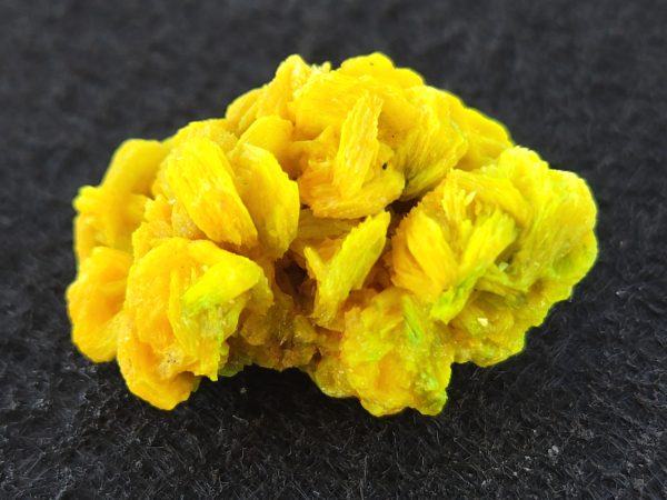 Autunite / Meta-autunite Crystal  - Fluorescent Uranium Ore, 5.7 Grams - Image 3